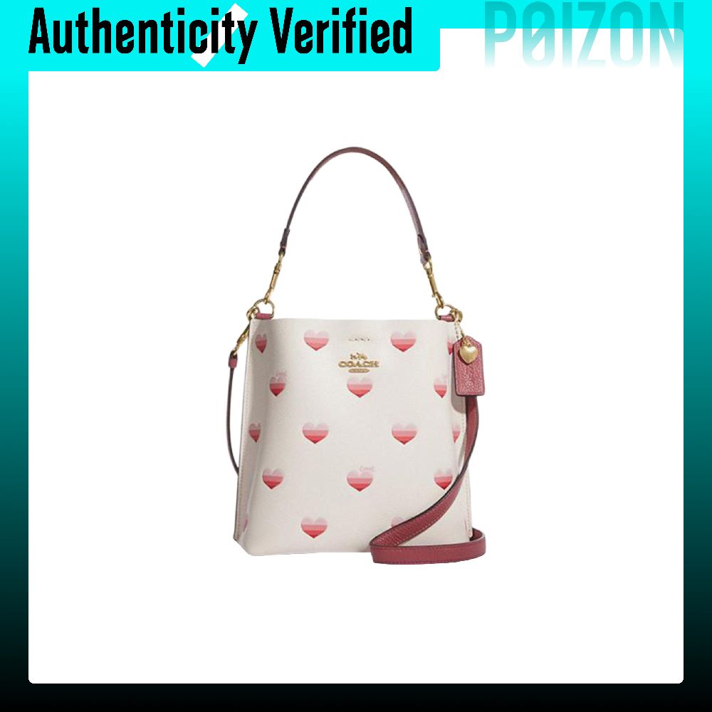 COACH Mollie Borsa a secchiell - Chalk Bag recensione e prezzo